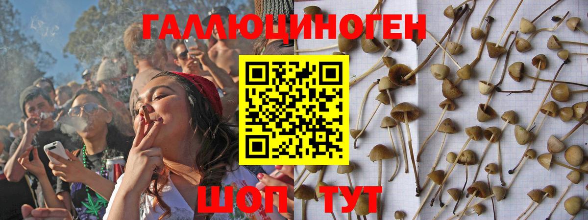Галлюциногенные грибы Magic Shrooms Ефремов