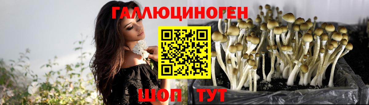 Ефремов  Псилоцибиновые грибы Psilocybine cubensis  Вход с VPN  Псилоцибиновые грибы MAGIC MUSHROOMS 